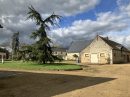  Property <b class='safer_land_value'>16 ha 81 a 96 ca</b> Sarthe 