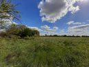  Property <b class='safer_land_value'>31 ha 47 a 39 ca</b> Vienne 