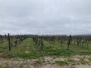  Property <b class='safer_land_value'>110 ha </b> Lot-et-Garonne 