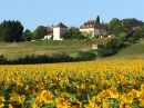  Property <b class='safer_land_value'>02 ha 80 a </b> Lot-et-Garonne 