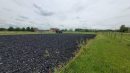  Property <b class='safer_land_value'>12 ha 46 a 82 ca</b> Allier 