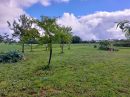  Property <b class='safer_land_value'>20 ha 41 a 52 ca</b> Dordogne 