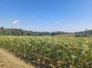  Property <b class='safer_land_value'>25 ha </b> Lot-et-Garonne 