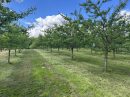  Property <b class='safer_land_value'>73 ha </b> Lot-et-Garonne 