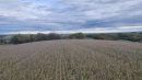  Property <b class='safer_land_value'>44 ha 59 a 03 ca</b> Gers 