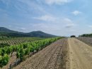  Property <b class='safer_land_value'>12 ha 50 a </b> Hérault 