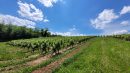  Property <b class='safer_land_value'>18 ha 42 a 14 ca</b> Rhône 