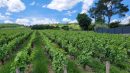  Property <b class='safer_land_value'>18 ha 42 a 14 ca</b> Rhône 