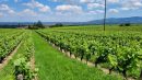  Property <b class='safer_land_value'>18 ha 42 a 14 ca</b> Rhône 