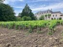  Property <b class='safer_land_value'>53 a 10 ca</b> Saône-et-Loire 