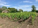  Property <b class='safer_land_value'>53 a 10 ca</b> Saône-et-Loire 