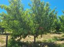  Property <b class='safer_land_value'>05 ha 75 a 38 ca</b> Pyrénées-Orientales 