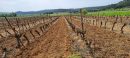  Property <b class='safer_land_value'>13 ha 20 a 22 ca</b> Aude 