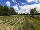  Property <b class='safer_land_value'>06 ha 03 a 16 ca</b> Deux-Sèvres 