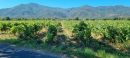  Property <b class='safer_land_value'>19 ha 01 a 25 ca</b> Pyrénées-Orientales 