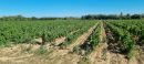  Property <b class='safer_land_value'>19 ha 01 a 25 ca</b> Pyrénées-Orientales 