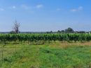  Property <b class='safer_land_value'>32 ha 26 a 08 ca</b> Dordogne 