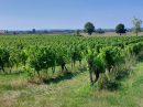  Property <b class='safer_land_value'>32 ha 26 a 08 ca</b> Dordogne 