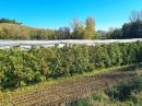  Property <b class='safer_land_value'>16 ha 99 a 89 ca</b> Tarn-et-Garonne 