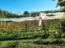  Property <b class='safer_land_value'>16 ha 99 a 89 ca</b> Tarn-et-Garonne 