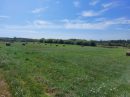  Property <b class='safer_land_value'>17 ha 72 a 69 ca</b> Dordogne 