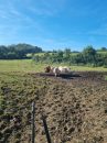  Property <b class='safer_land_value'>48 ha 76 a 11 ca</b> Aveyron 