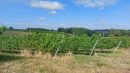  Property <b class='safer_land_value'>15 ha 06 a 46 ca</b> Gironde 