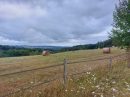  Property <b class='safer_land_value'>41 ha 92 a 67 ca</b> Dordogne 