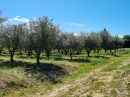  Property <b class='safer_land_value'>29 ha 71 a 50 ca</b> Aude 