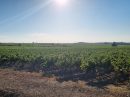  Property <b class='safer_land_value'>38 ha 54 a </b> Hérault 