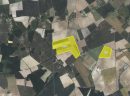  Property <b class='safer_land_value'>40 ha 25 a 50 ca</b> Indre-et-Loire 