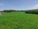  Property <b class='safer_land_value'>33 ha 25 a 79 ca</b> Dordogne 