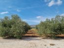  Property <b class='safer_land_value'>15 ha 28 a 80 ca</b> Pyrénées-Orientales 