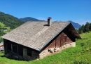  Property <b class='safer_land_value'>01 ha 35 a </b> Haute-Savoie 