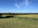  Property <b class='safer_land_value'>16 ha 64 a </b> Lot-et-Garonne 