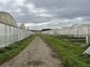  Property <b class='safer_land_value'>04 ha 81 a 59 ca</b> Lot-et-Garonne 