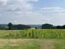  Property <b class='safer_land_value'>17 ha 78 a 01 ca</b> Haute-Saône 