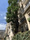 Appartement  Paris  2 pièces 36 m²