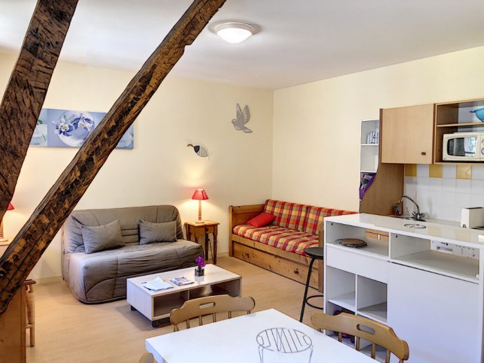 Appartement à louer, 2 pièces - Aulus-les-Bains 09140