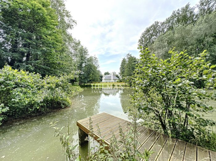 Photo Maison d'architecte sur 1,8 hectares avec verger, étang et accès à la Lys à Coyecques image 5/16