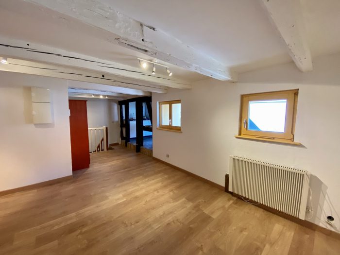 Appartement à louer, 2 pièces - Schiltigheim 67300