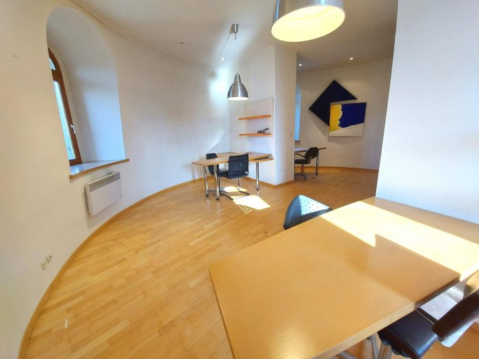 Local professionnel à vendre, 300 m² - Hœnheim 67800