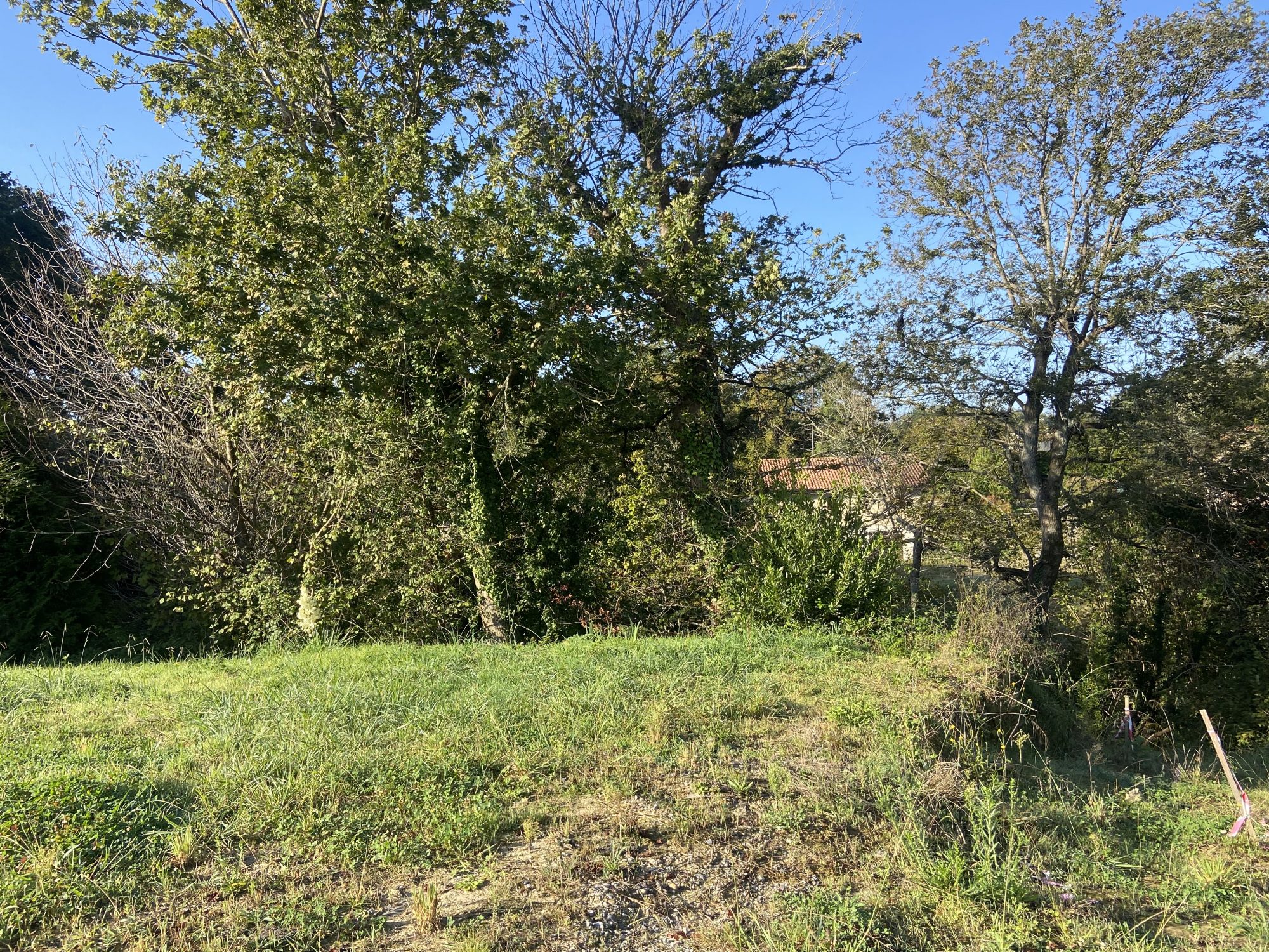 À vendre - Terrain constructible 1593 m² situé à Saint-Vincent-de-Tyrosse (40230)