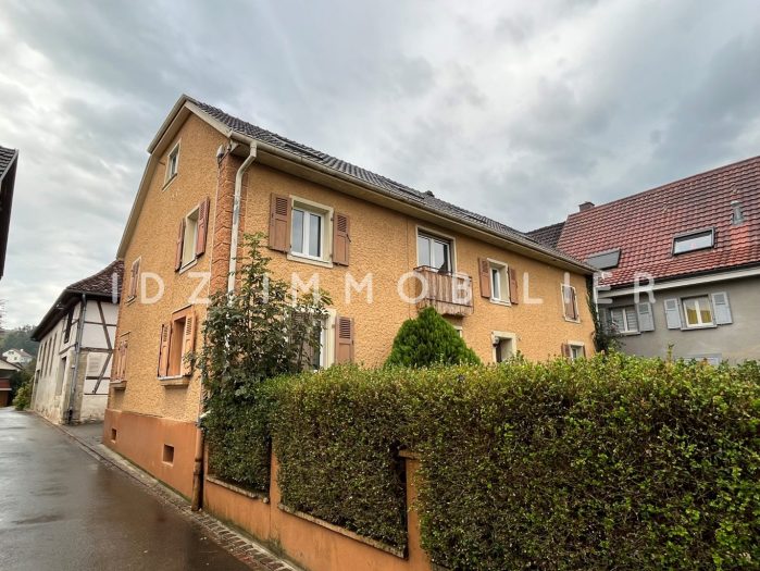 Immeuble à vendre, 251 m² - Hagenthal-le-Bas 68220