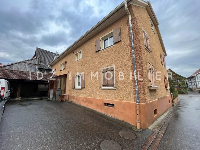 Immeuble à vendre, 251 m² - Hagenthal-le-Bas 68220