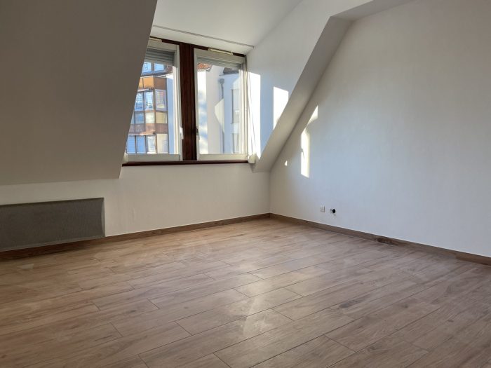 Appartement à vendre, 1 pièce - Strasbourg 67000