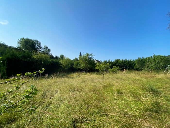 Terrain constructible à vendre, 08 a 50 ca - Villers-Cotterêts 02600