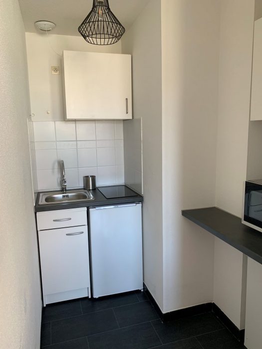 Appartement à louer, 1 pièce - Schiltigheim 67300