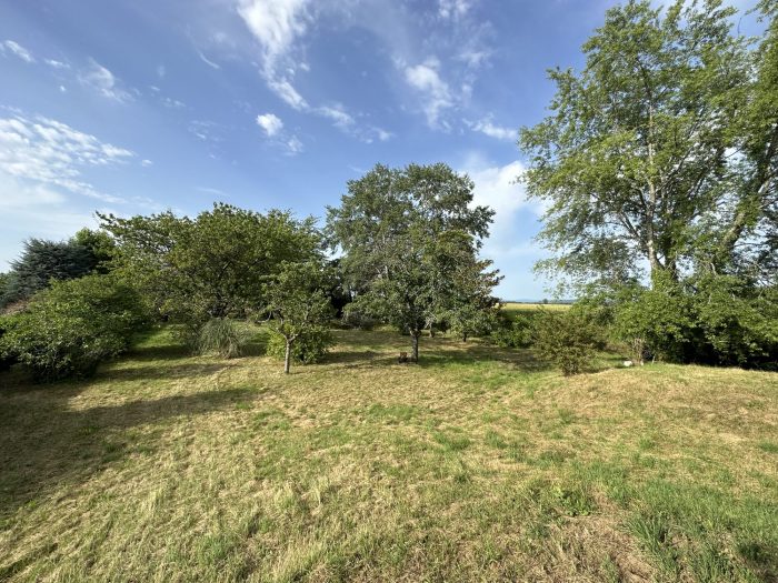 Maison traditionnelle à vendre, 6 pièces - Cuisery 71290