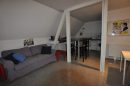 Bischwiller HAGUENAU Maison 500 m²  15 pièces